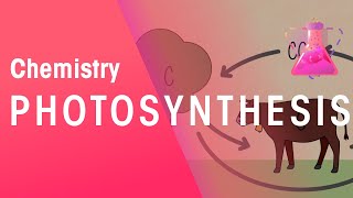 Photosynthesis amp Respiration  Reactions  Chemistry  FuseSchool [upl. by Atlante]