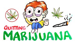 What Happens When You Quit Marijuana [upl. by Sherard981]