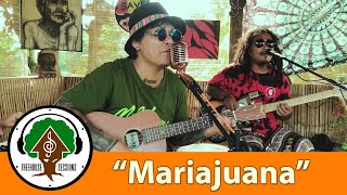 Mariajuana  by Bagani  Treehouse Sessions [upl. by Fiorenza]