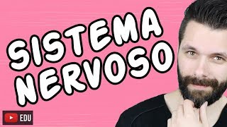 SISTEMA NERVOSO  FISIOLOGIA  Aula  Biologia com Samuel Cunha [upl. by Nettle78]