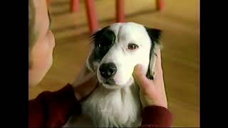 Beneful Dog Food Commercial 2003 [upl. by Syxela]