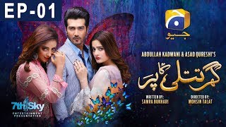 Ghar Titli Ka Par Episode 1  HAR PAL GEO [upl. by Aleemaj]