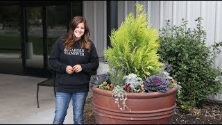 Planting Large Containers [upl. by Aym]