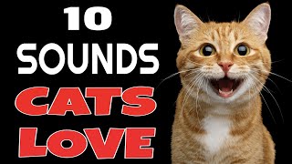 10 Sounds Cats Love To Hear The Most [upl. by Eirene333]