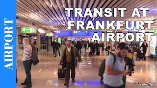 TRANSIT WALK AT FRANKFURT Airport FRA Terminal 1  Connection Flight Transfer Arriving amp Departing [upl. by Wolbrom]